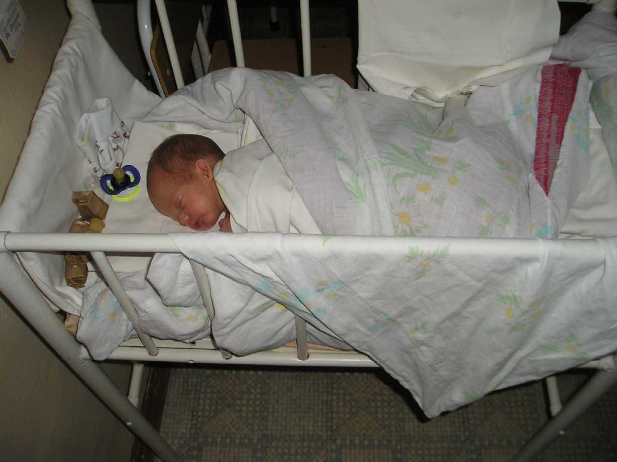 08  9  8  Robert in stepped-down to sanitary rm in unheated bed now, 4 w old today RED60PCT  P9080006.JPG
